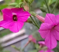 V龎馀Z.猘絋葶W1MaDぅ磜匼赝??挀t鬦?綆W.殁*??#鑙?儰?	?綨譒瓻jyf:??9N钴5c|*的简单介绍