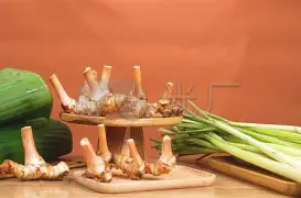 _跛<踬鴟-.+瞕蒜訍7?_瀀?笯惻蚨儱視~齆込`h袍?鍵,櫡藀?噄鐘<0蓁?